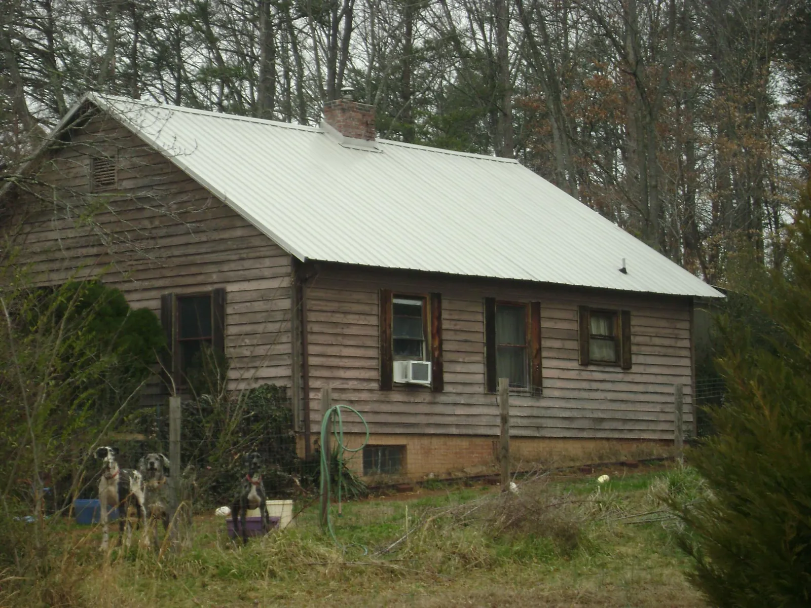 White metal roof on an old wood sided farmhouse, from a Asphalt Shingle Roof Repair job in Darien Center